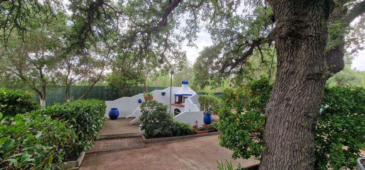 Myconian Summer House Μάκρη Εξωτερικό φωτογραφία