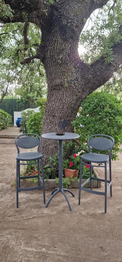 Myconian Summer House Μάκρη Εξωτερικό φωτογραφία
